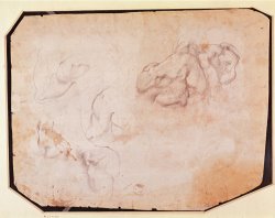 Study of Muscles Pencil on Paper Verso for Recto See 191769 by Michelangelo Buonarroti