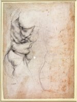 Study of Torso And Buttock by Michelangelo Buonarroti