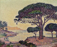 Umbrella Pines at Caroubiers by Paul Signac
