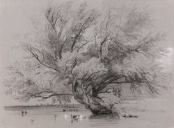 Pond with Willow Tree And Ducks by Peter de Wint