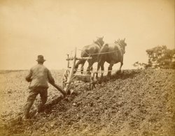 A Stiff Pull by Peter Henry Emerson