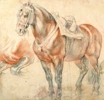 Saddled Horse, C. 1615 1618 by Peter Paul Rubens