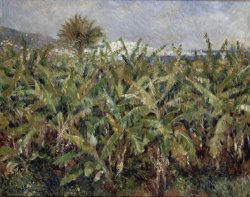 Field of Banana Trees by Pierre Auguste Renoir