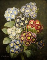 A Bouquet of Auriculas by Pierre Joseph Redoute