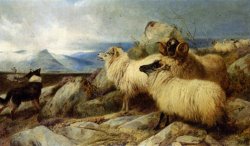 Herding The Flock by Richard Ansdell