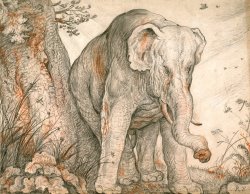 An Elephant Rubbing Itself Against a Tree, C. 1608 1612 by Roelant Savery