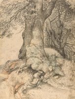Study of Tree Trunks And Roots by Roelant Savery
