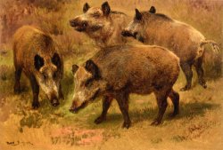 Four Boars in a Landscape by Rosa Bonheur