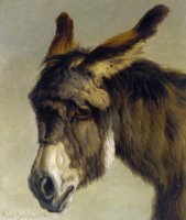 Head of a Donkey by Rosa Bonheur
