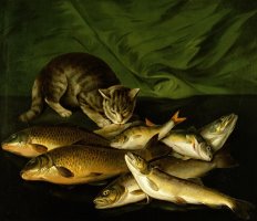 A Cat with Trout Perch and Carp on a Ledge by Stephen Elmer