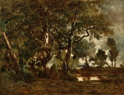 Forest of Fontainebleau, Cluster of Tall Trees Overlooking The Plain of Clair Bois at The Edge of Ba by Theodore Rousseau