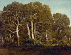 The Great Oaks of Old Bas BrŽeau by Theodore Rousseau