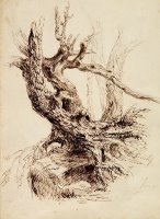 Gnarled Tree Trunk by Thomas Cole