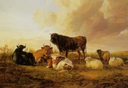 Cattle And Sheep in a Field by Thomas Sidney Cooper