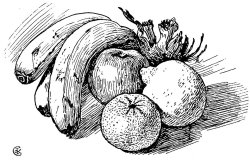 Pen Drawing Of Fruit by Walter Crane