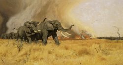 Elephants Moving Before a Veldt Fire by Wilhelm Kuhnert