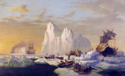 Caught in The Ice Floes by William Bradford