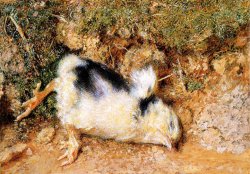 John Ruskin's Dead Chick by William Henry Hunt