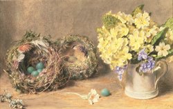 Spring Flowers and Birds' Nests by William Henry Hunt