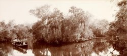 On The Tomoka Near Ormond, Florida by William Henry Jackson