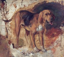 Study of a Bloodhound by William Holman Hunt