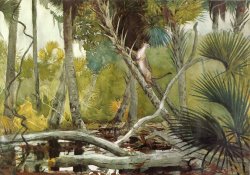 In The Jungle, Florida by Winslow Homer