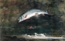 Jumping Trout by Winslow Homer