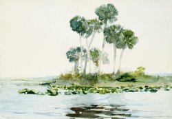 St. Johns River, Florida by Winslow Homer